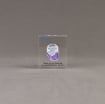 Front view of x-small Allure™ Floating Acrylic Encasement Award with Alcon medical device sample encased into clear acrylic showing full color imprint.