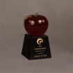 Medium red apple trophy on a sleek black base with custom engraving, perfect for honoring teachers, mentors, or top performers.